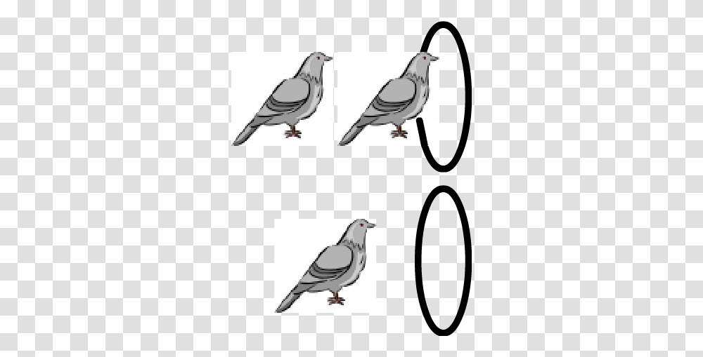 Pigeon Hole, Bird, Animal, Dove Transparent Png