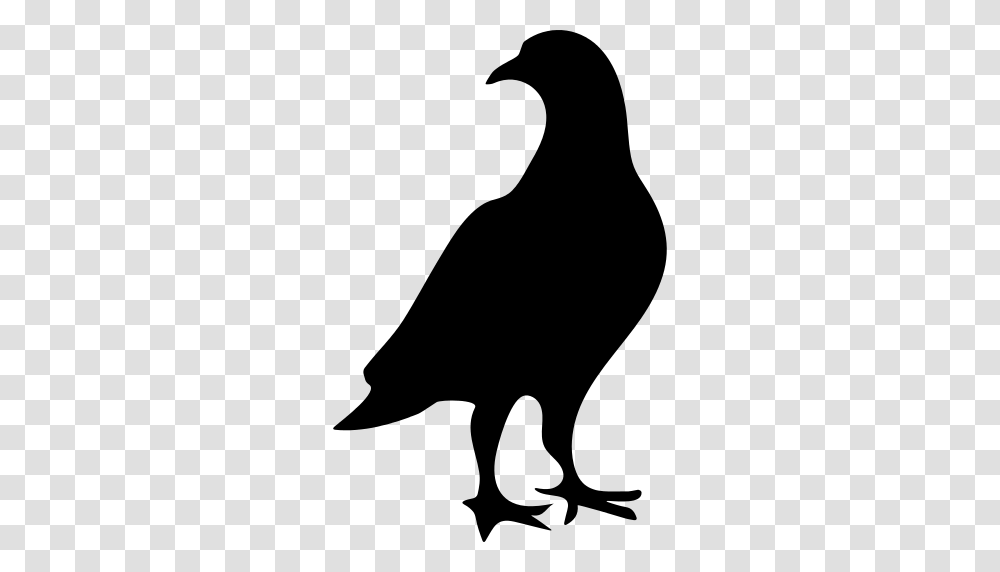 Pigeon Icon, Gray, World Of Warcraft Transparent Png