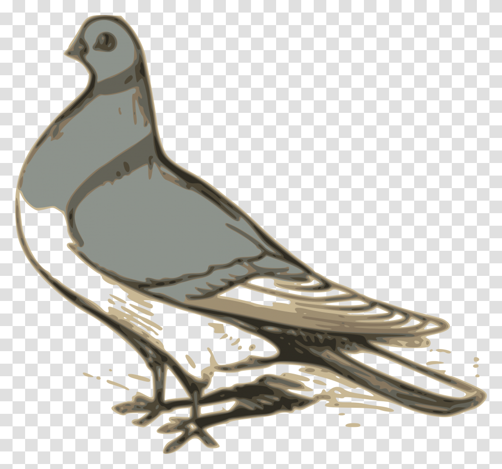 Pigeon Illustration Icons, Bird, Animal, Dove Transparent Png