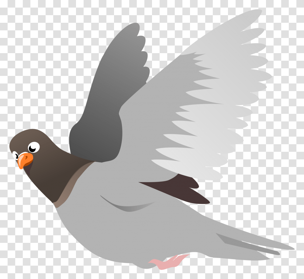 Pigeon Images Mart Flying Bird Clipart, Animal, Waterfowl, Goose, Beak Transparent Png