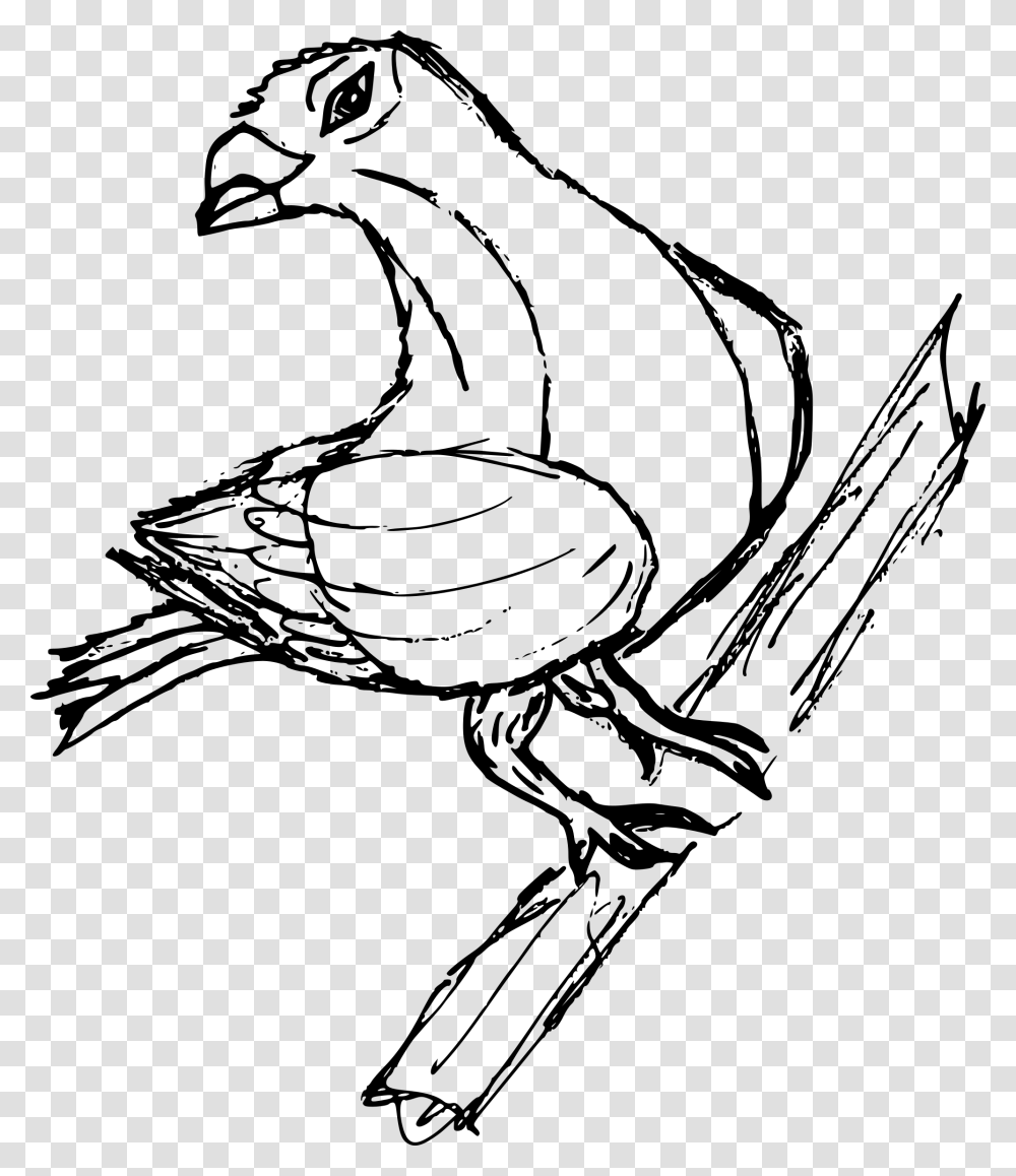 Pigeon Sketch, Gray, World Of Warcraft Transparent Png