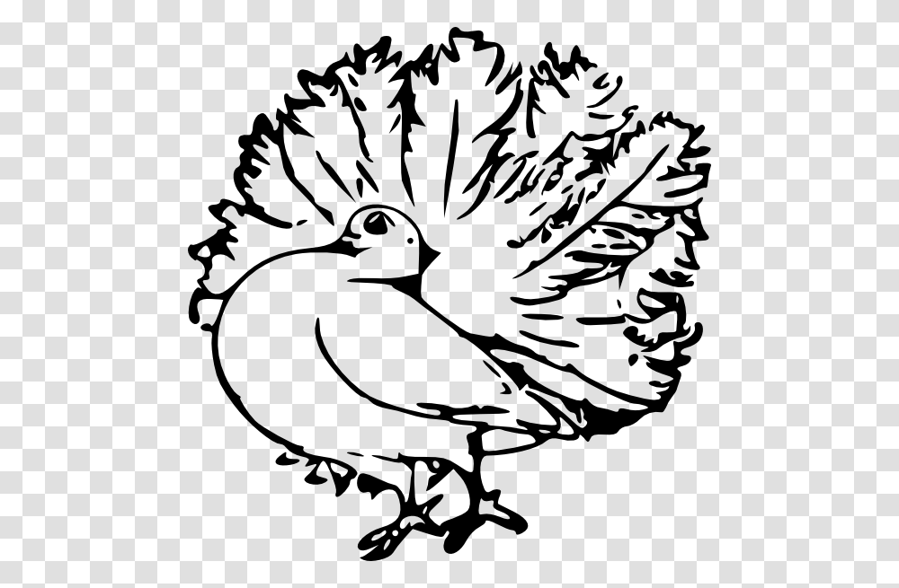 Pigeon Svg S Animal Vector Clip Art Pigeon Vector, Poultry, Fowl, Bird, Stencil Transparent Png