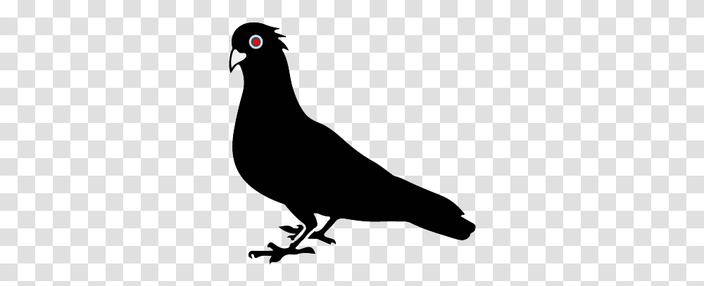 Pigeon Vector, Bow, Silhouette, Bird, Animal Transparent Png