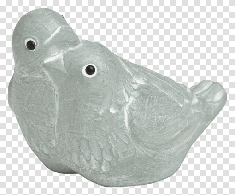 Pigeons And Doves, Animal, Sea Life, Fish, Glass Transparent Png