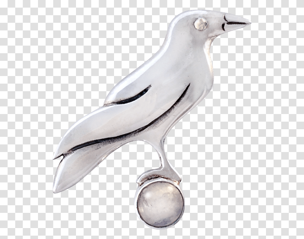Pigeons And Doves, Bird, Animal, Beak Transparent Png