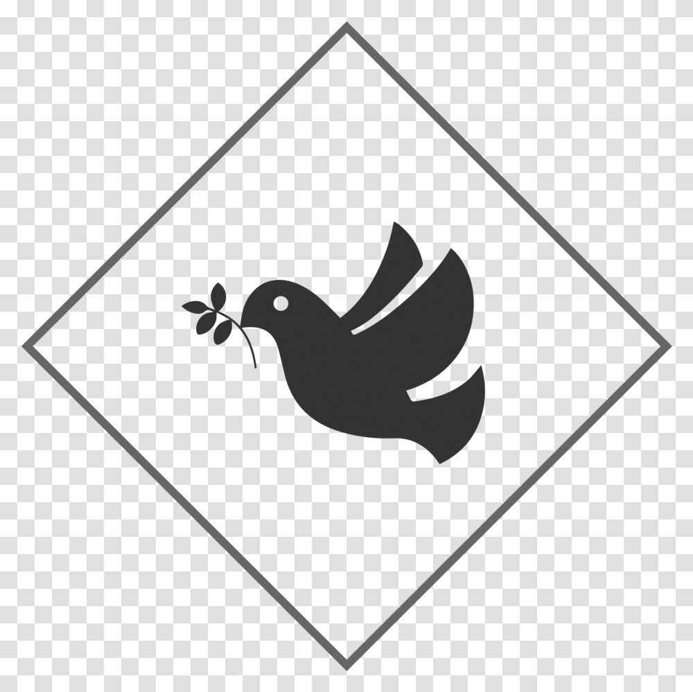 Pigeons And Doves, Bird, Animal, Kiwi Bird Transparent Png