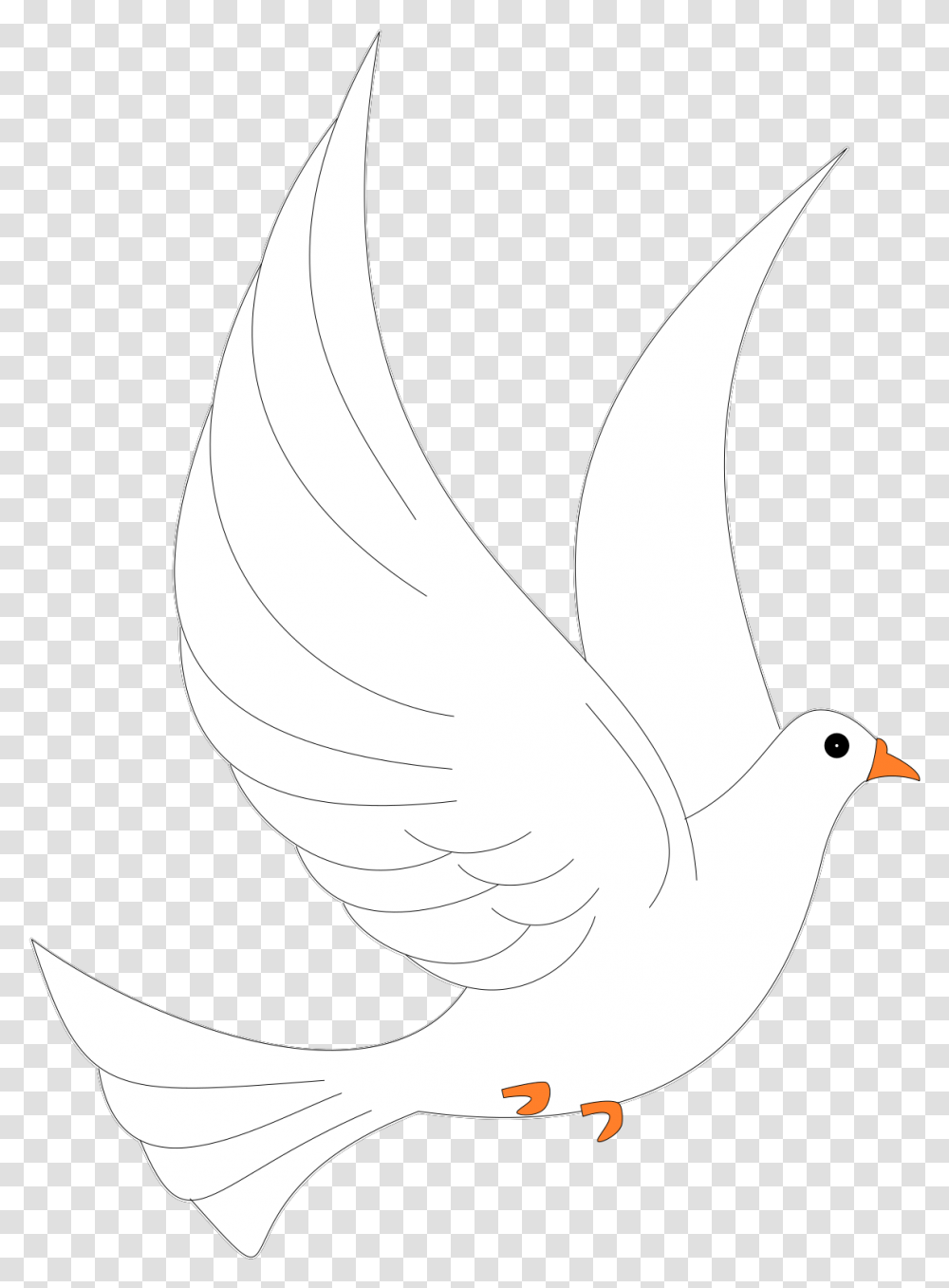 Pigeons And Doves, Bird, Animal Transparent Png