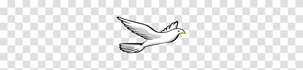 Pigeons And Doves Clipart, Animal, Bird, Flying, Sea Life Transparent Png