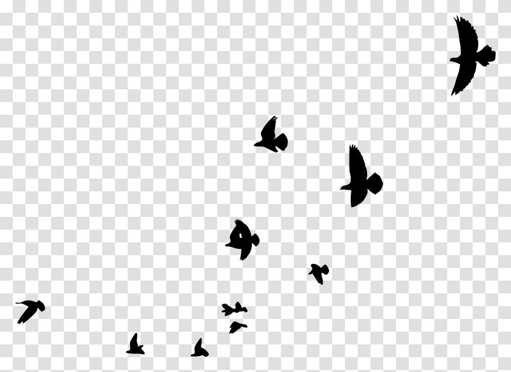 Pigeons And Doves, Gray, World Of Warcraft Transparent Png