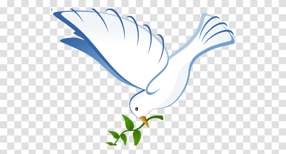 Pigeons And Doves Portable Network Graphics Clip Art White Dove, Seagull, Bird, Animal, Albatross Transparent Png