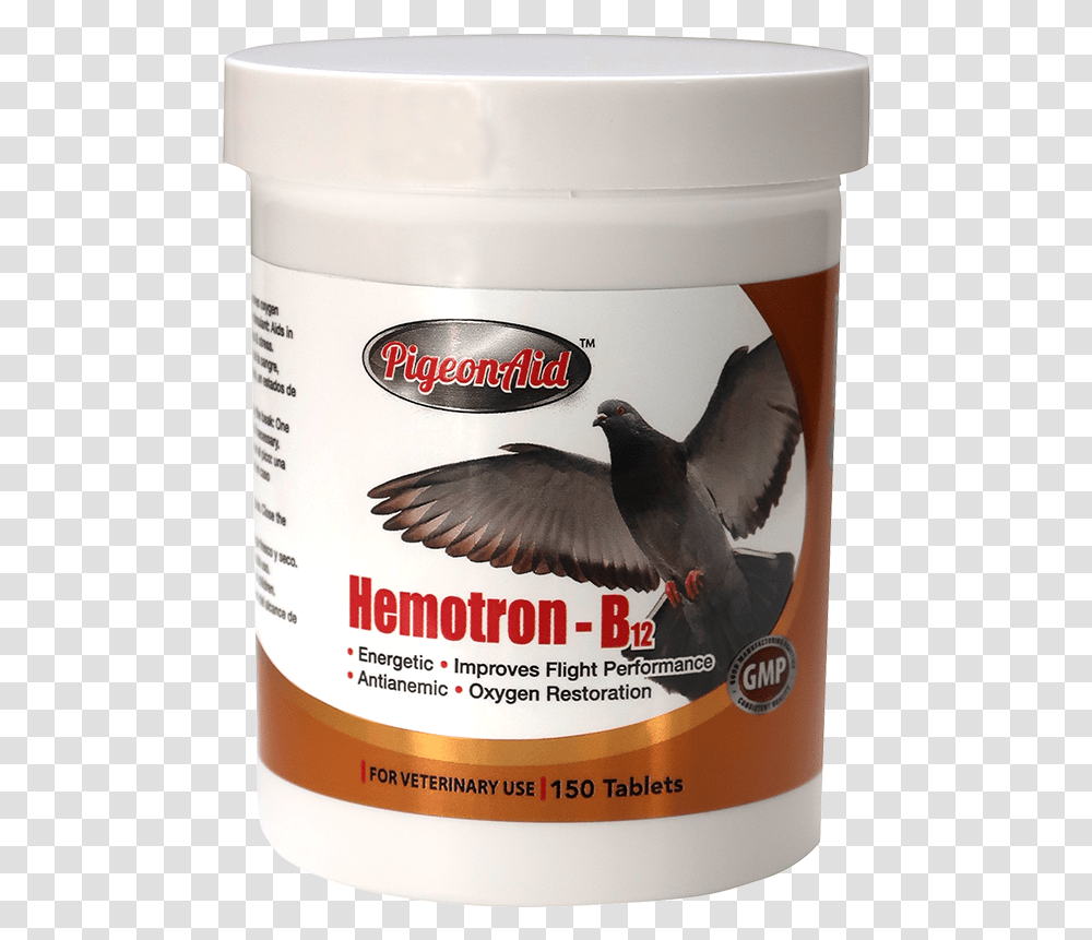 Pigeons, Bird, Animal, Label Transparent Png