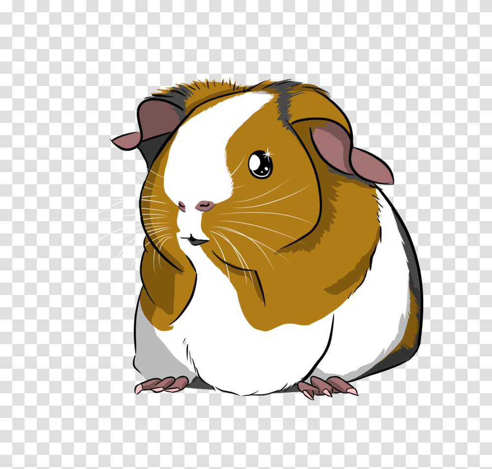 Piggy, Rodent, Mammal, Animal, Hamster Transparent Png