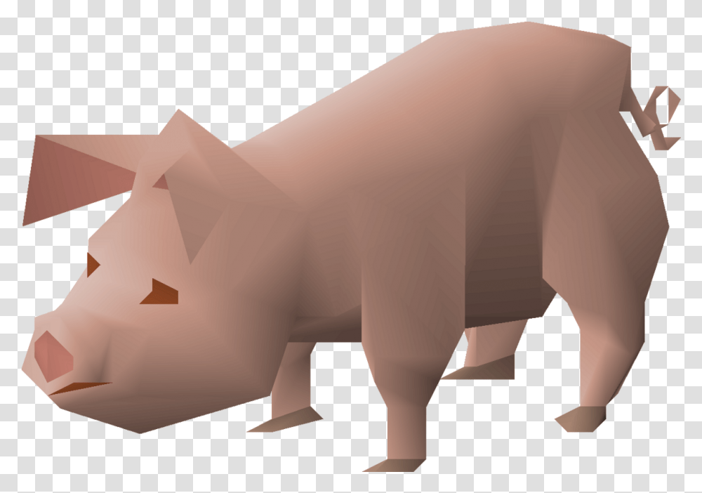 Piglet Carnivore, Mammal, Animal, Piggy Bank Transparent Png