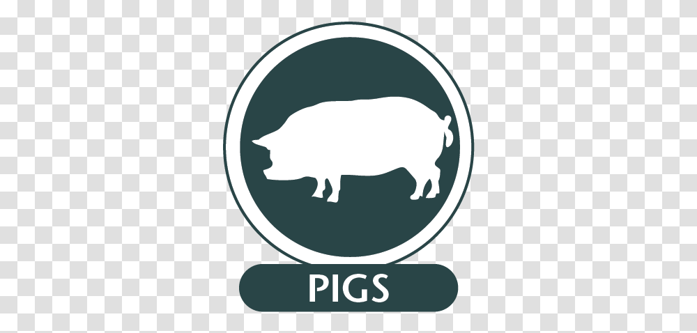 Pigs Boar, Mammal, Animal, Label, Text Transparent Png