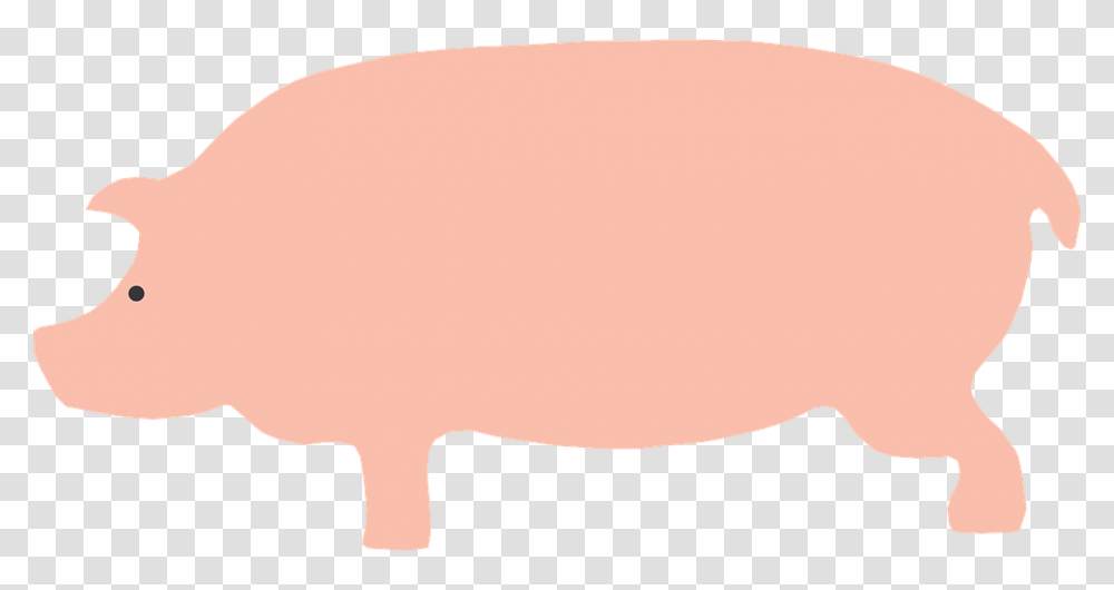 Pigs Clipart Cartoon Pig From The Side, Animal, Mammal, Piggy Bank, Hog Transparent Png