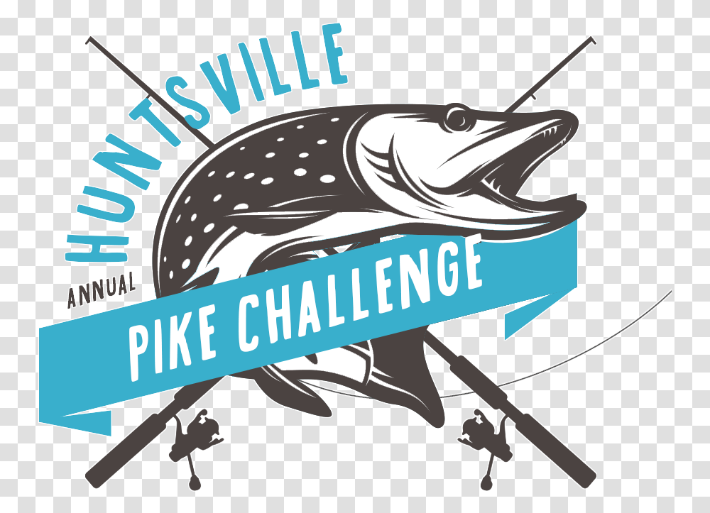 Pike Illustration, Animal, Sea Life, Fish, Water Transparent Png