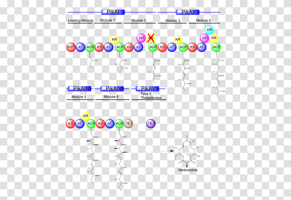 Pikromycin Biosynthesis, Pac Man, Super Mario, Mobile Phone, Electronics Transparent Png