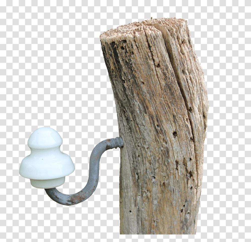 Pile Nature, Tree, Plant, Wood Transparent Png