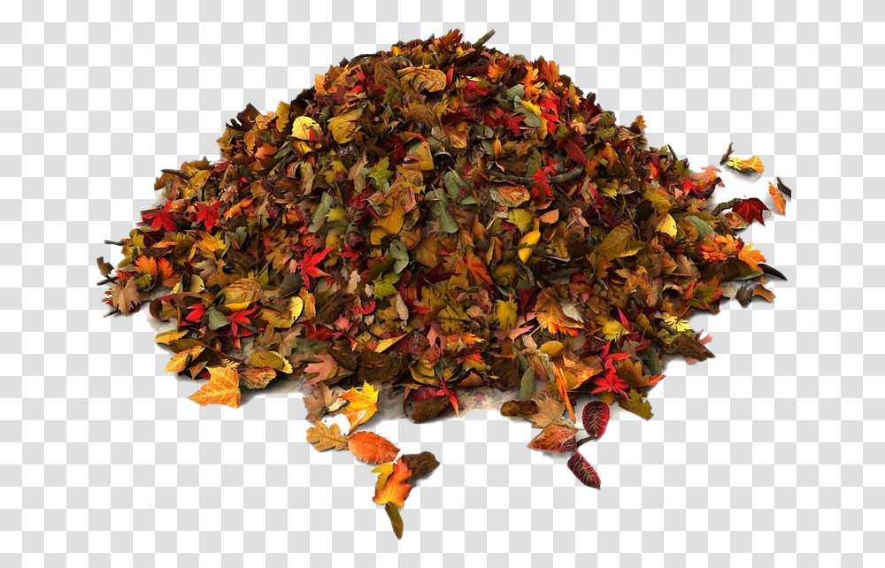 Pile Of Autumn Leaves File Pile Of Autumn Leaves, Leaf, Plant, Tree, Maple Transparent Png