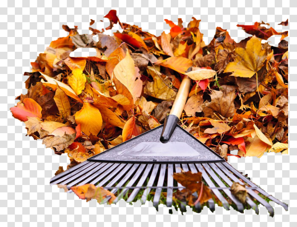 Pile Of Autumn Leaves Pic Mart Cleaning Leaves, Leaf, Plant, Rake, Tree Transparent Png