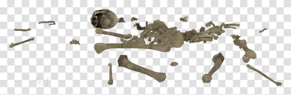 Pile Of Bones, Skeleton, Fossil Transparent Png