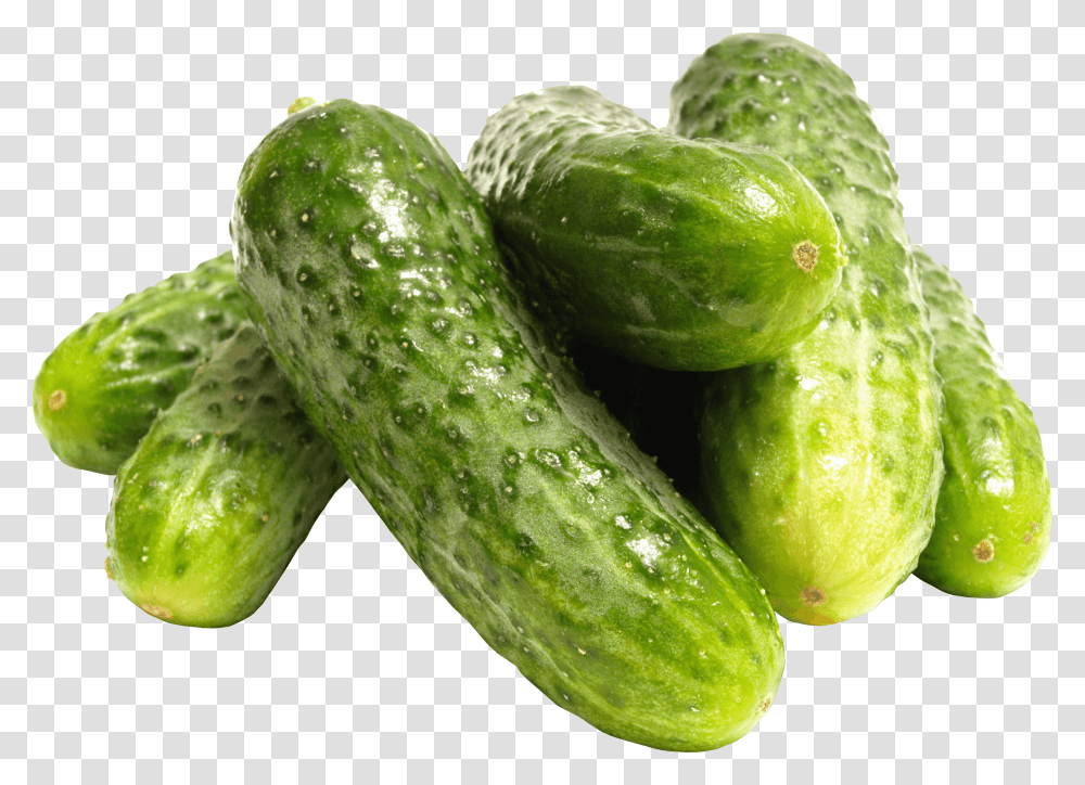 Pile Of Cucumbers Cucumber Pickling, Plant, Food, Vegetable, Pickle Transparent Png