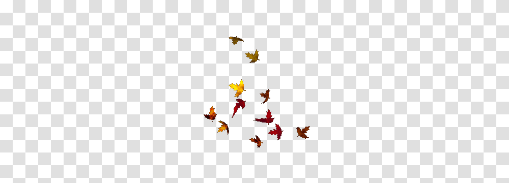 Pile Of Leaves Clip Art, Leaf, Plant, Tree, Maple Leaf Transparent Png