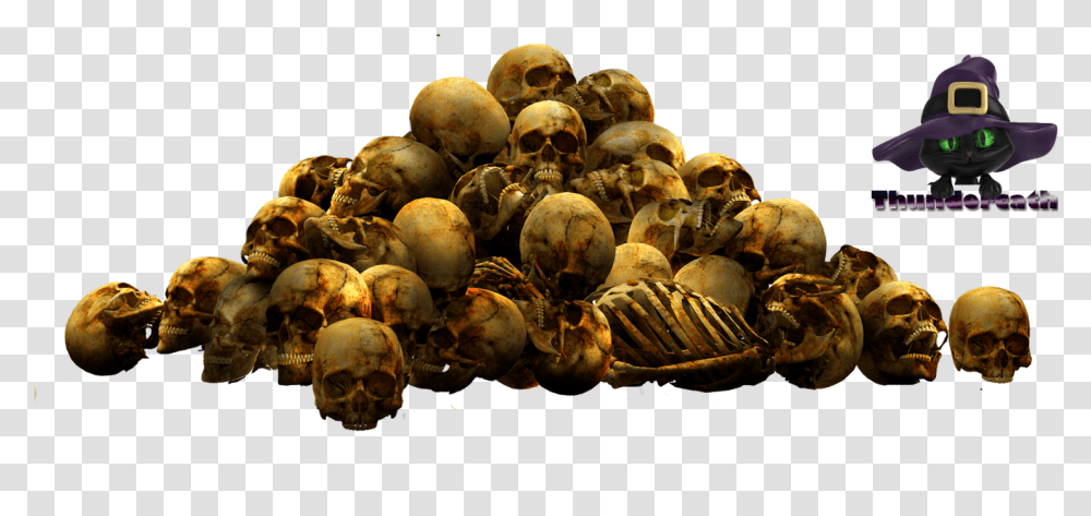 Pile Of Skulls File Pile Of Skulls, Sphere, Fungus Transparent Png