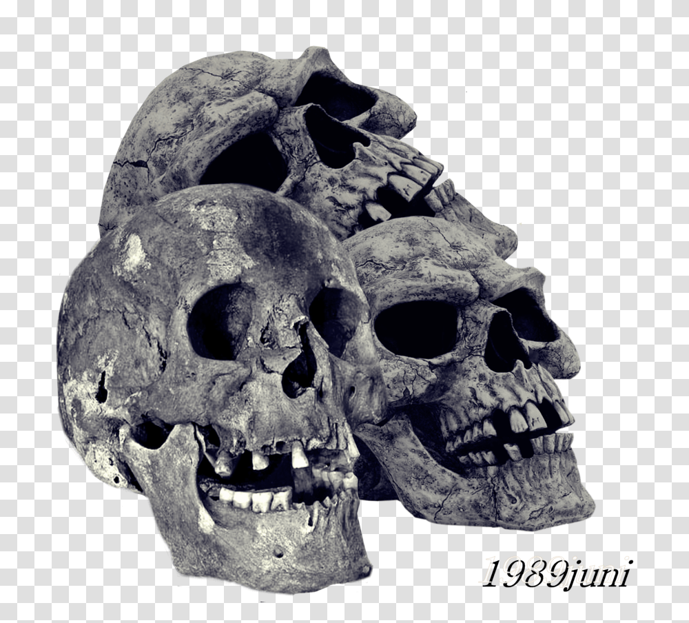 Pile Of Skulls Image Skull Hd Background, Mask, Jaw Transparent Png