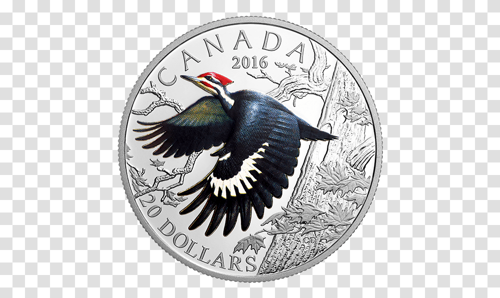 Pileated Woodpecker Coin, Bird, Animal, Money Transparent Png