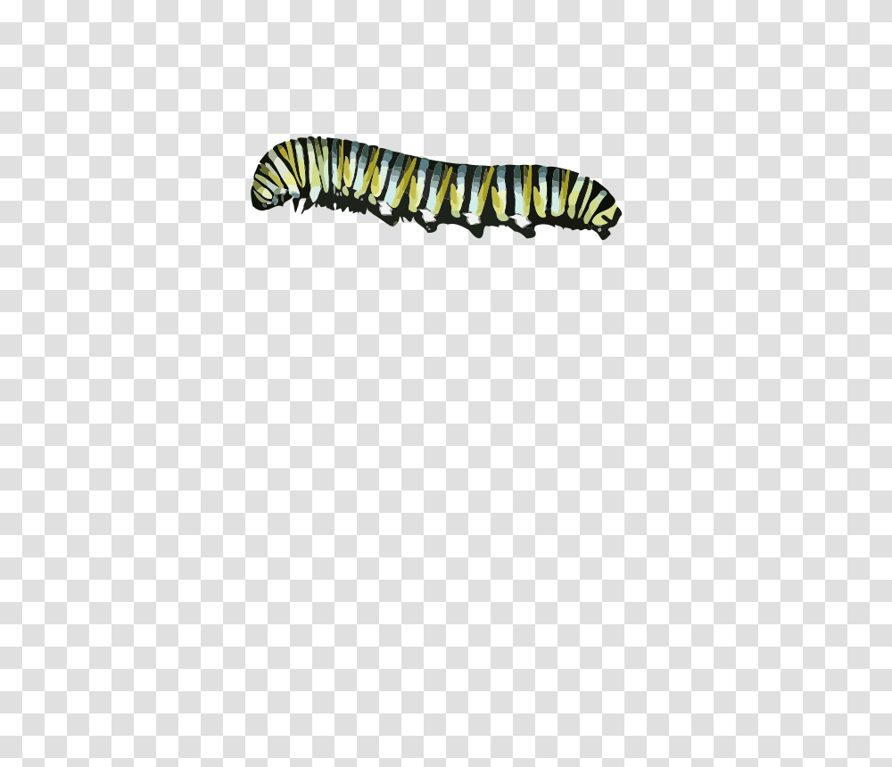 Pillar Clip Art Download, Animal, Invertebrate, Worm Transparent Png
