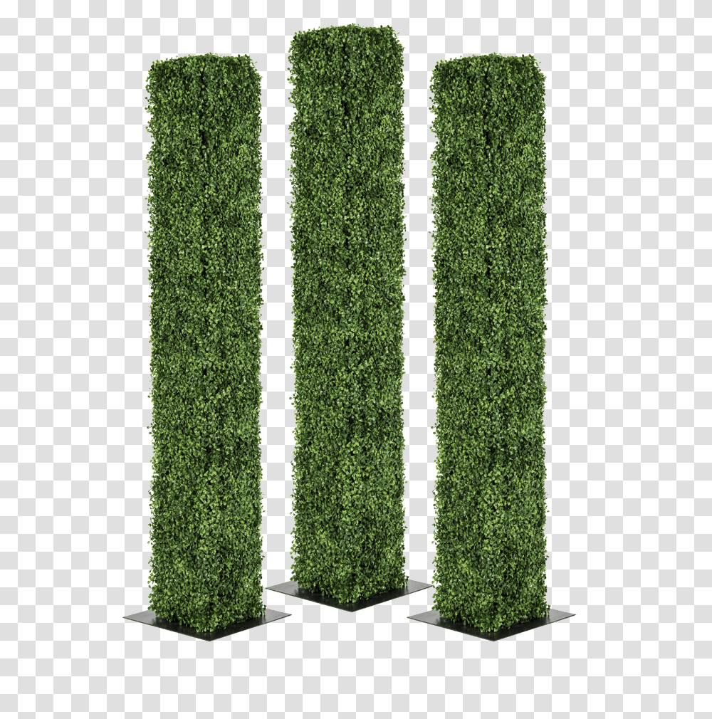 Pillars Hedge, Rug, Grass, Plant, Sport Transparent Png