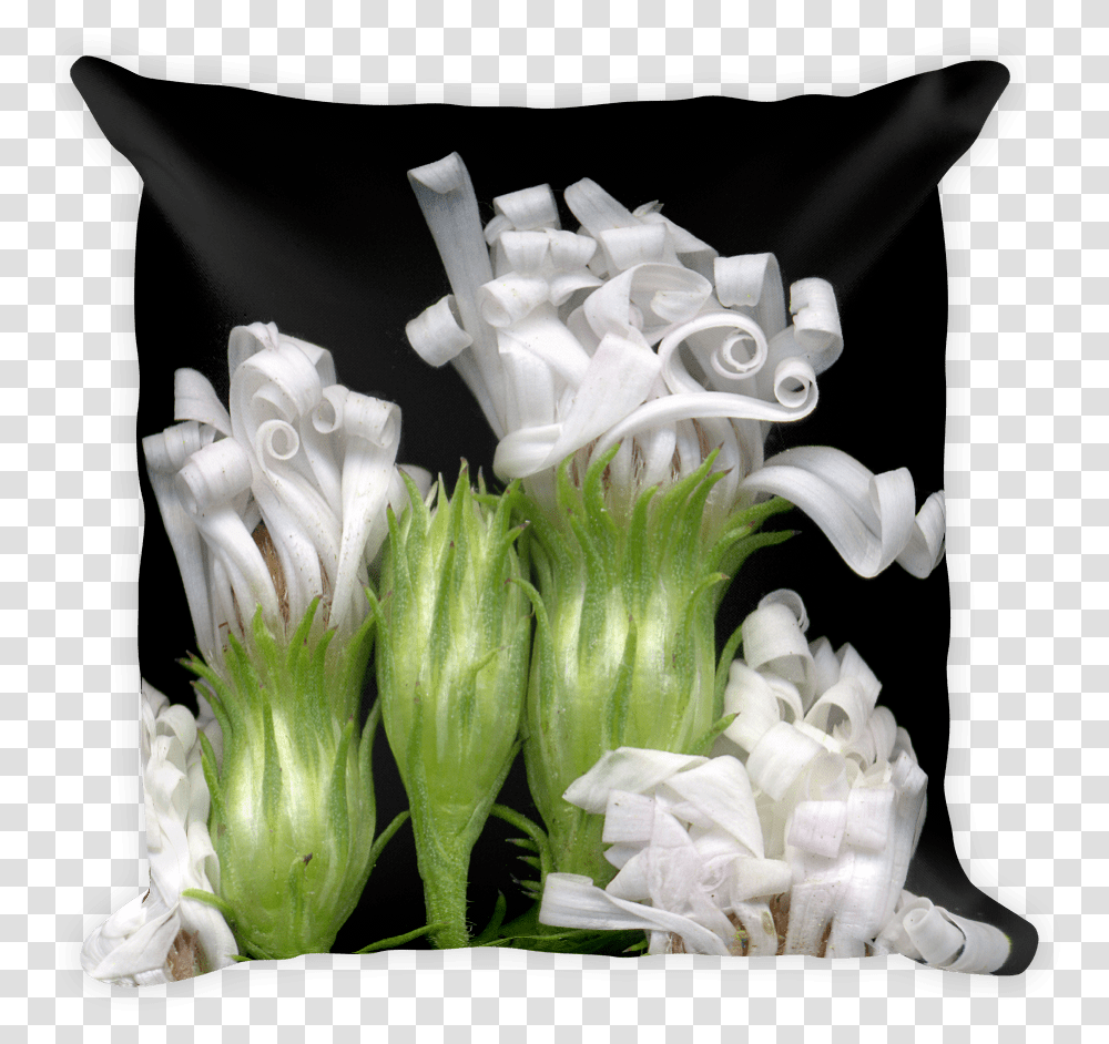 Pillow, Plant, Flower, Blossom, Flower Arrangement Transparent Png
