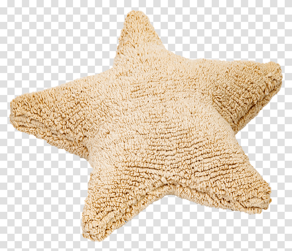 Pillow, Sea Life, Animal, Invertebrate, Starfish Transparent Png