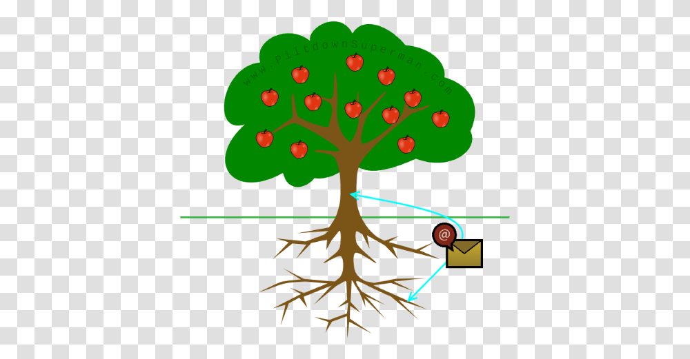 Piltdown Superman Tree Clipart With Roots, Plant, Bird, Animal Transparent Png