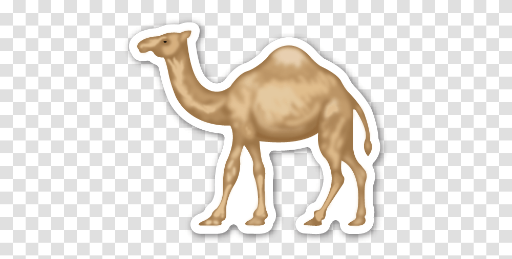 Pin Animals Camel Emoji Sticker, Mammal, Antelope, Wildlife, Horse Transparent Png