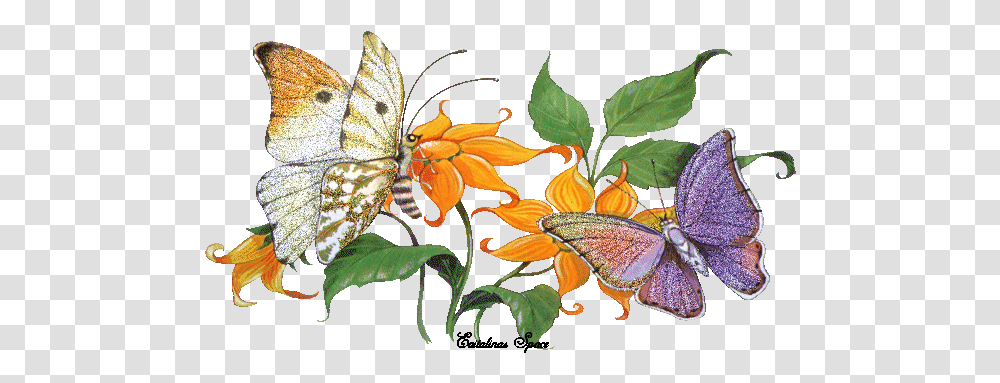 Pin Animated Butterfly Flower Gif, Insect, Invertebrate, Animal, Monarch Transparent Png