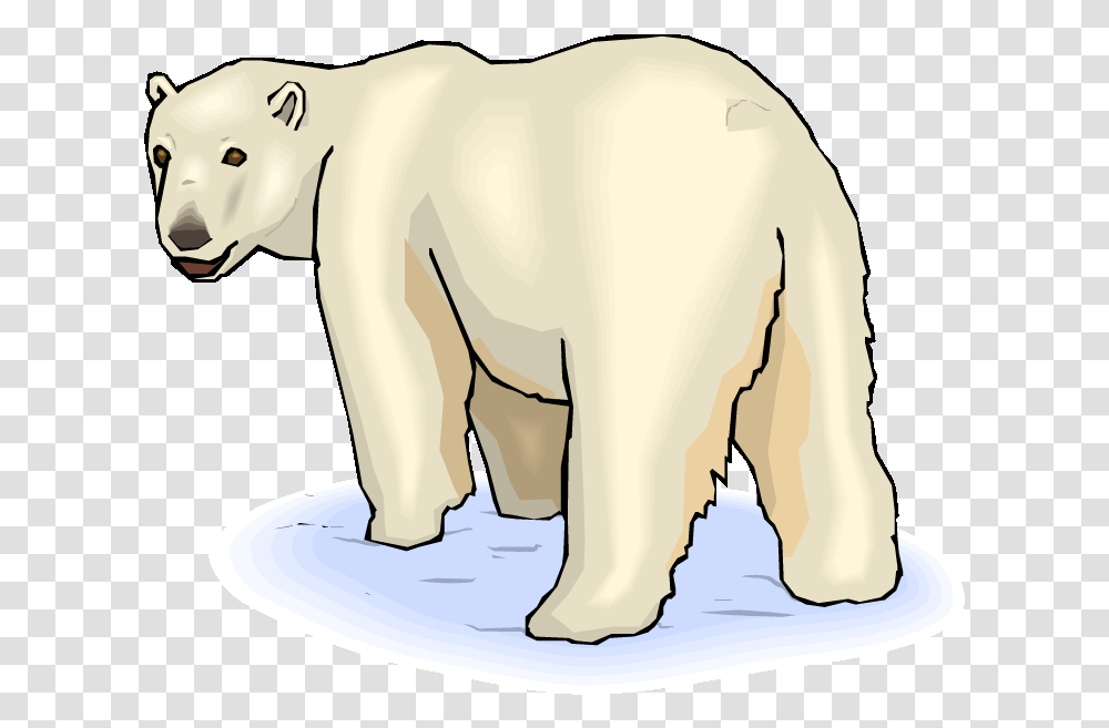 Pin Baby Polar Bear Clipart Polar Bear, Wildlife, Animal, Mammal, Helmet Transparent Png