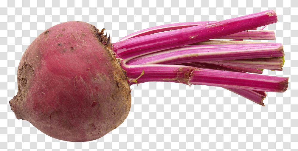 Pin Beetroot Transparent Png