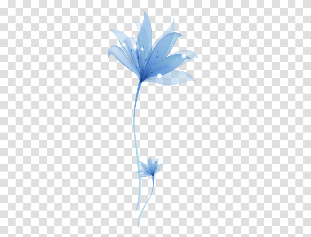 Pin By Ayham Sarrah Blue Flower Clipart, Plant, Petal, Leaf, Bird Transparent Png
