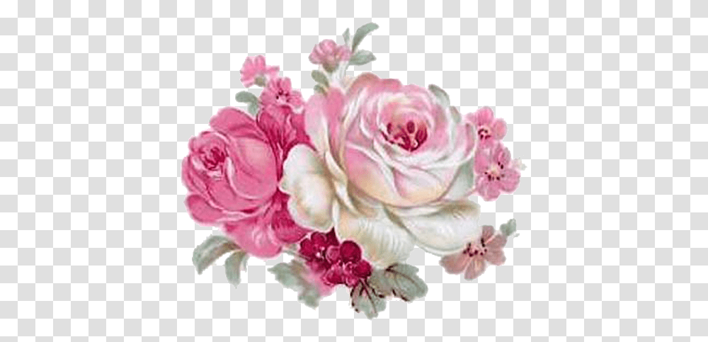 Pin By Beatriz Tartaglia Flor Vintage Rosa, Plant, Flower, Blossom, Rose Transparent Png