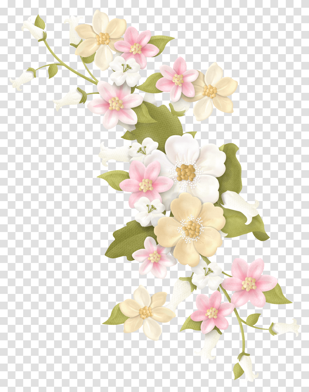 Pin By Disturbedkorngirl Flower Scraps, Plant, Blossom, Petal, Geranium Transparent Png