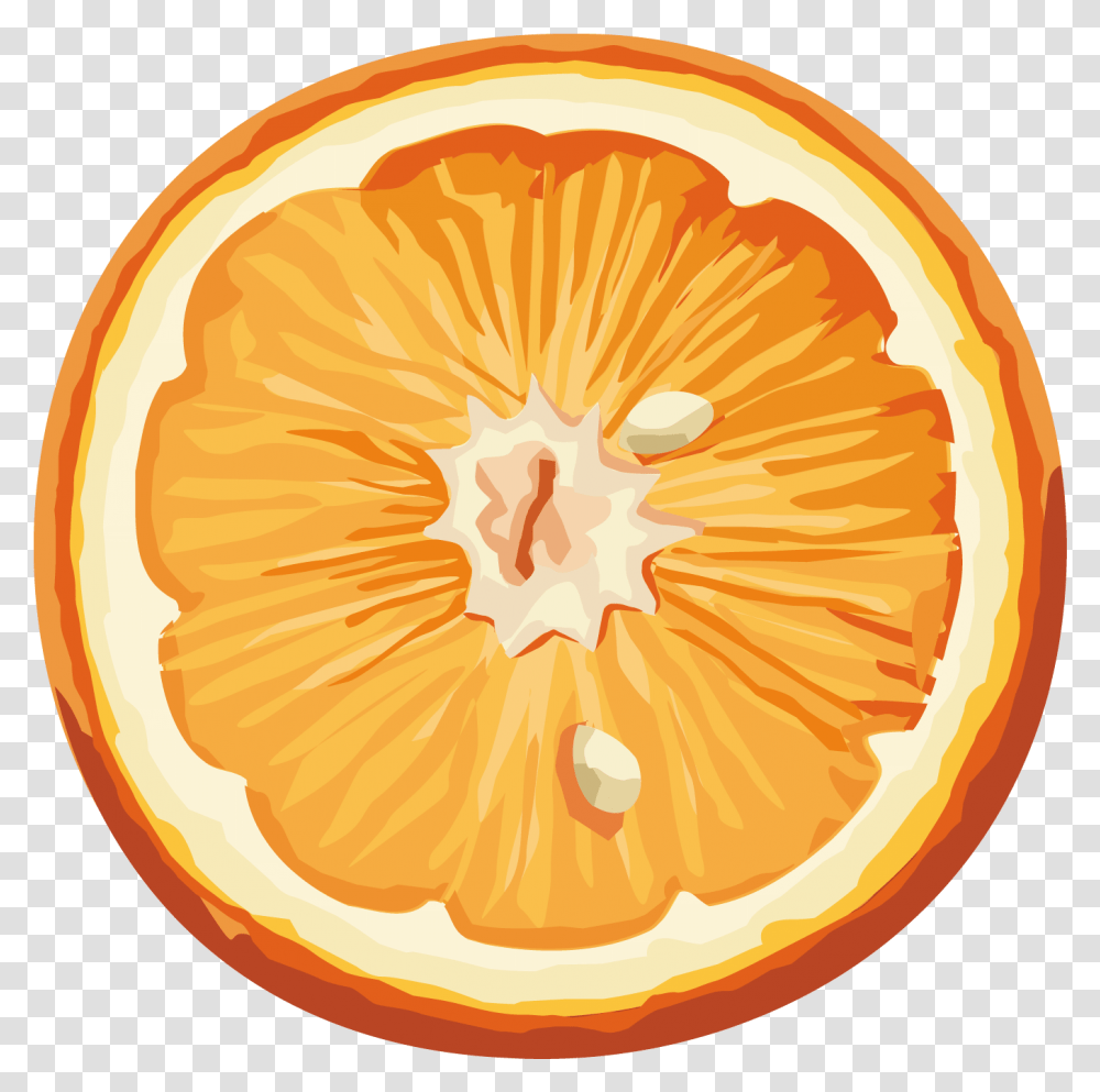 Pin By Freepngimg, Citrus Fruit, Plant, Food, Grapefruit Transparent Png