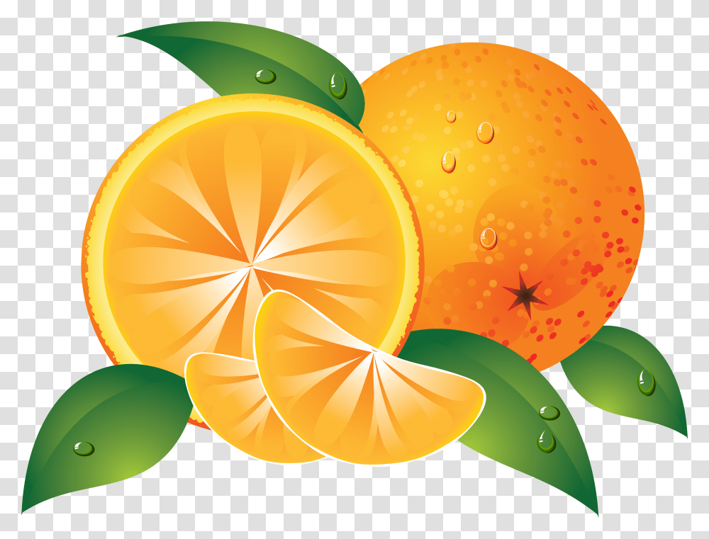 Pin By Hopeless Orange, Plant, Citrus Fruit, Food, Lemon Transparent Png
