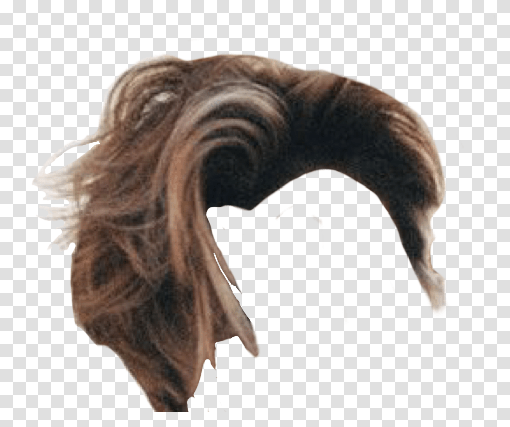 Pin By J Kurtz Niche Memes Hair, Art, Animal, Pattern Transparent Png