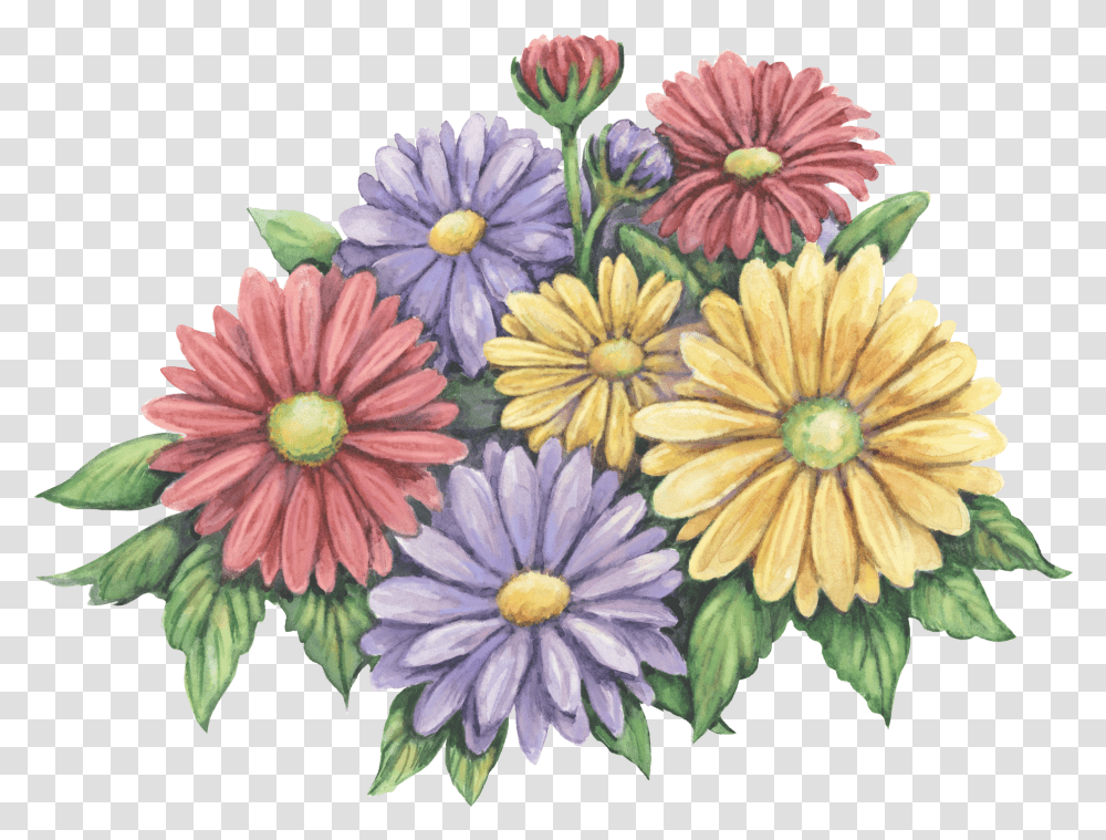 Pin By Janece Stander African Daisy, Floral Design, Pattern, Graphics, Art Transparent Png