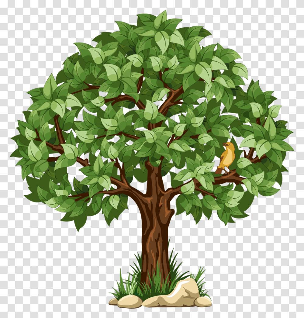 Pin By Judit's Clipart Background Tree, Plant, Leaf, Tree Trunk Transparent Png