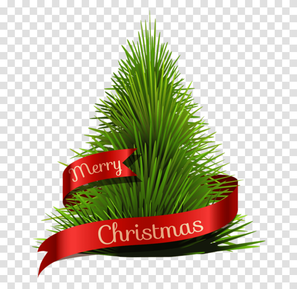 Pin By Marina Merry Christmas In The Grass, Plant, Tree, Green, Conifer Transparent Png