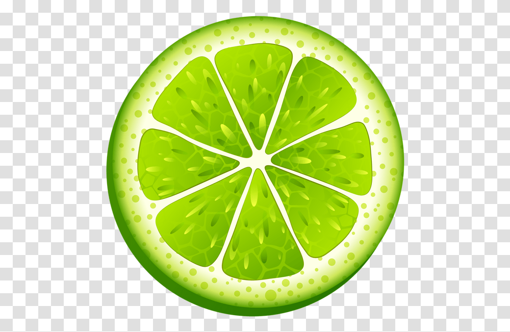 Pin By Marina On Lime Clipart, Citrus Fruit, Plant, Food, Sliced Transparent Png