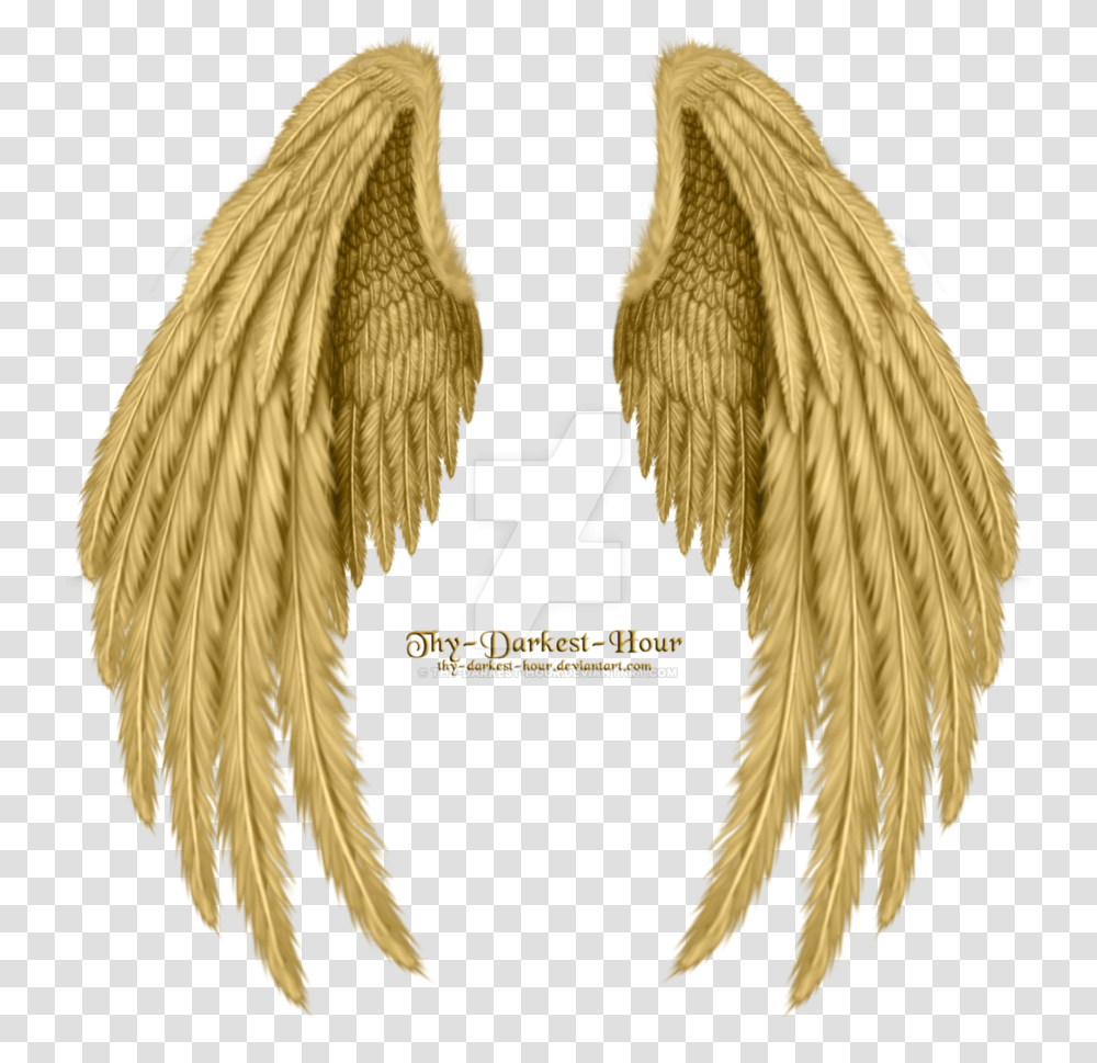 Pin By Missmahsa On Wings In 2019 Golden Angel Wings, Scarf Transparent Png
